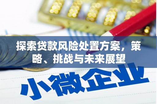 鸡东探索贷款风险处置方案，策略、挑战与未来展望