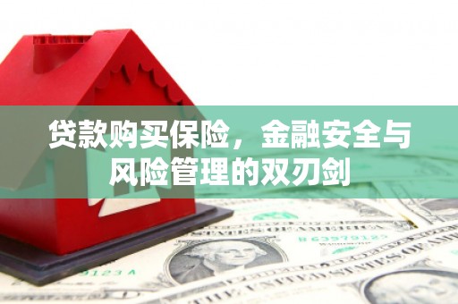 鸡东贷款购买保险，金融安全与风险管理的双刃剑