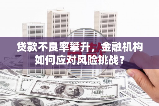 鸡东贷款不良率攀升，金融机构如何应对风险挑战？