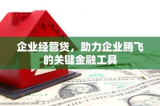 鸡东企业经营贷，助力企业腾飞的关键金融工具