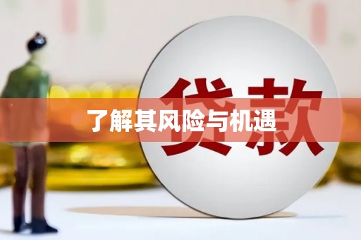 鸡东了解其风险与机遇