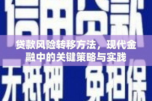 鸡东贷款风险转移方法，现代金融中的关键策略与实践