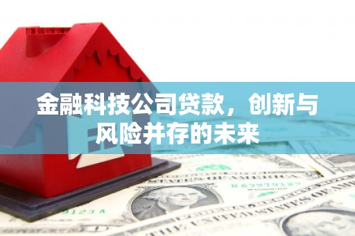 鸡东金融科技公司贷款，创新与风险并存的未来