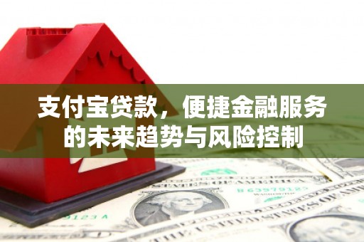 鸡东支付宝贷款，便捷金融服务的未来趋势与风险控制