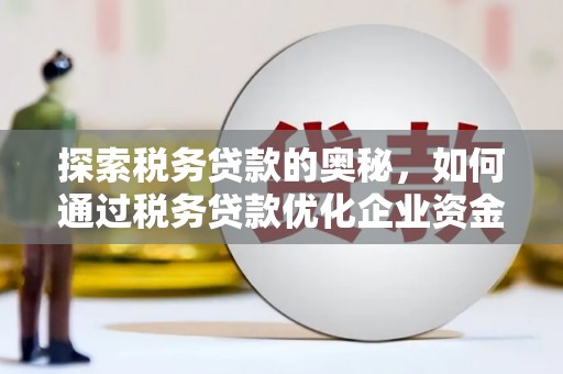 鸡东探索税务贷款的奥秘，如何通过税务贷款优化企业资金流