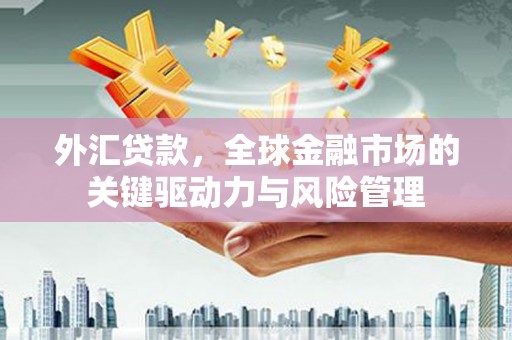鸡东外汇贷款，全球金融市场的关键驱动力与风险管理