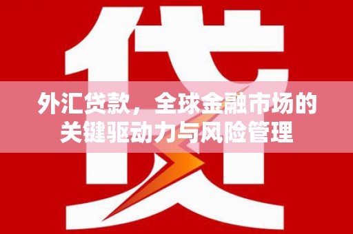 鸡东外汇贷款，全球金融市场的关键驱动力与风险管理