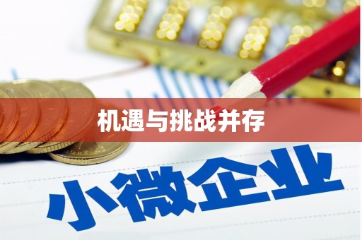 鸡东机遇与挑战并存