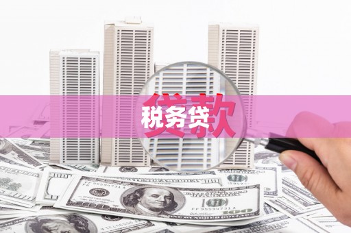 鸡东税务贷