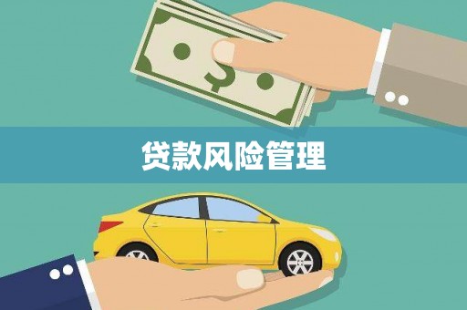 鸡东贷款风险管理