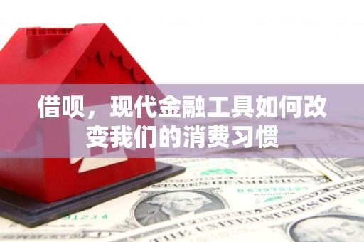 鸡东借呗，现代金融工具如何改变我们的消费习惯