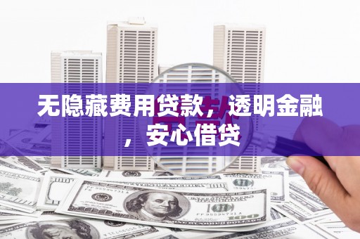 鸡东无隐藏费用贷款，透明金融，安心借贷