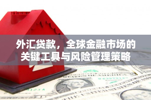 鸡东外汇贷款，全球金融市场的关键工具与风险管理策略