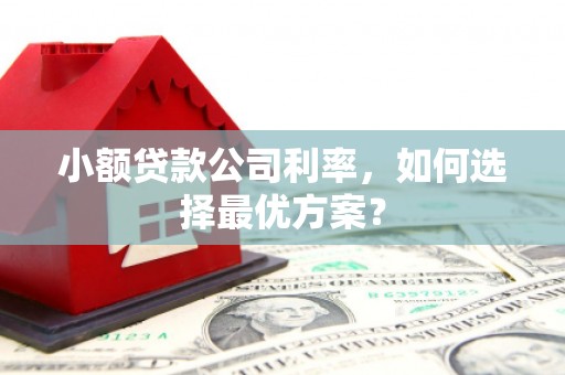 鸡东小额贷款公司利率，如何选择最优方案？