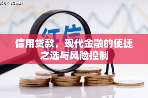 鸡东信用贷款，现代金融的便捷之选与风险控制