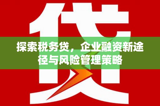 鸡东探索税务贷，企业融资新途径与风险管理策略