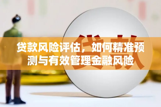 鸡东贷款风险评估，如何精准预测与有效管理金融风险