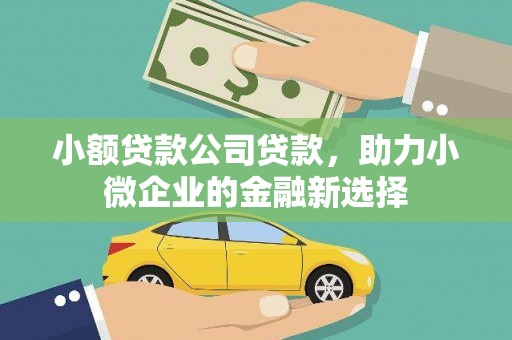 鸡东小额贷款公司贷款，助力小微企业的金融新选择