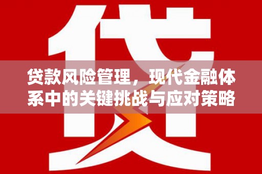 鸡东贷款风险管理，现代金融体系中的关键挑战与应对策略