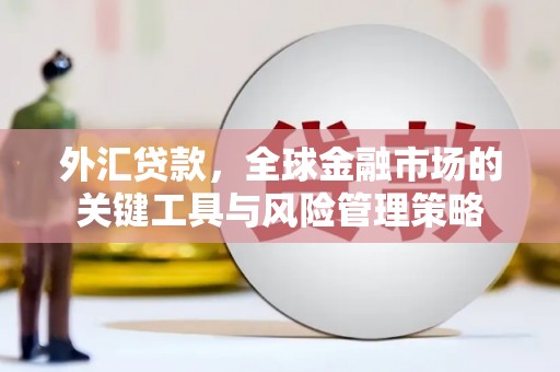 鸡东外汇贷款，全球金融市场的关键工具与风险管理策略