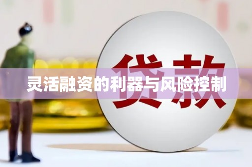鸡东灵活融资的利器与风险控制
