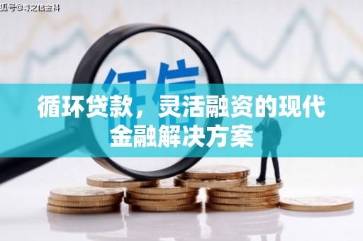 鸡东循环贷款，灵活融资的现代金融解决方案