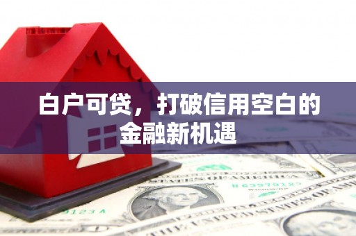 鸡东白户可贷，打破信用空白的金融新机遇