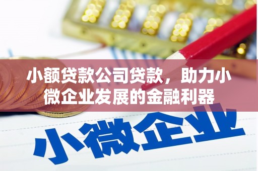 鸡东小额贷款公司贷款，助力小微企业发展的金融利器