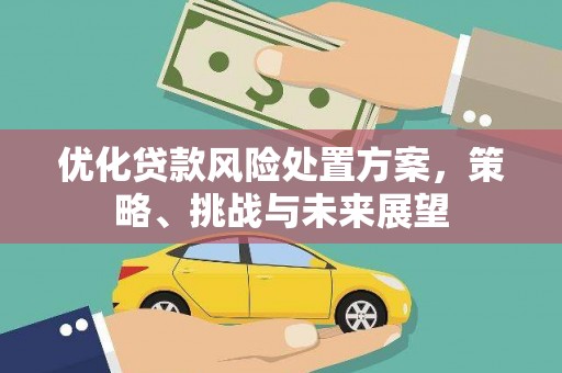 鸡东优化贷款风险处置方案，策略、挑战与未来展望