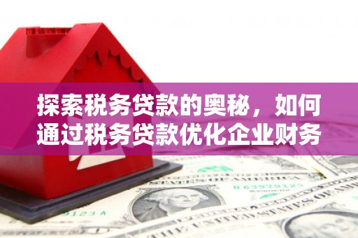 鸡东探索税务贷款的奥秘，如何通过税务贷款优化企业财务