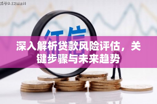 鸡东深入解析贷款风险评估，关键步骤与未来趋势