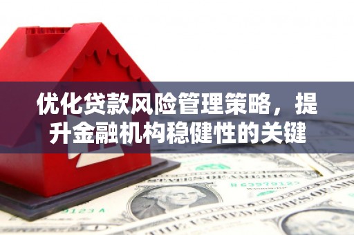 鸡东优化贷款风险管理策略，提升金融机构稳健性的关键