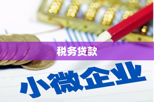 鸡东税务贷款