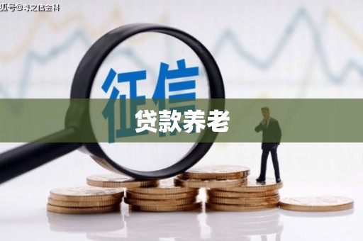 鸡东贷款养老