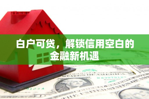 鸡东白户可贷，解锁信用空白的金融新机遇