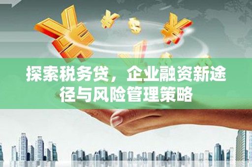鸡东探索税务贷，企业融资新途径与风险管理策略