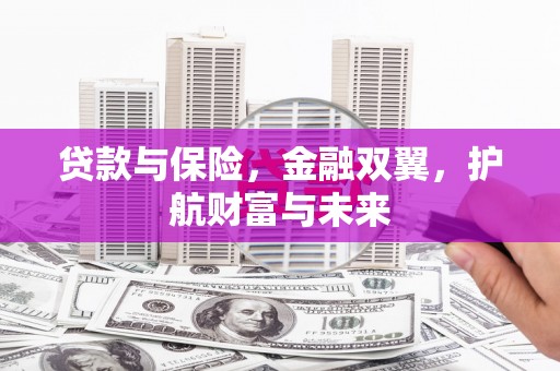 鸡东贷款与保险，金融双翼，护航财富与未来