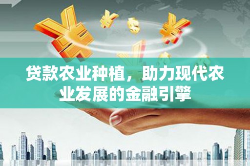 鸡东贷款农业种植，助力现代农业发展的金融引擎