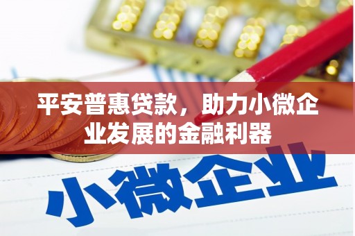 鸡东平安普惠贷款，助力小微企业发展的金融利器