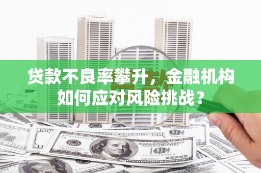鸡东贷款不良率攀升，金融机构如何应对风险挑战？