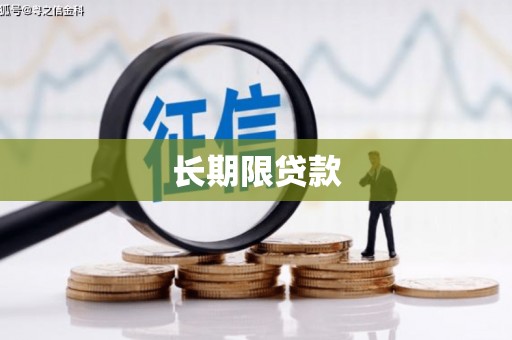 鸡东长期限贷款
