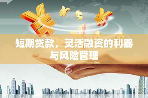 鸡东短期贷款，灵活融资的利器与风险管理
