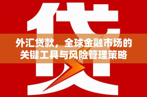 鸡东外汇贷款，全球金融市场的关键工具与风险管理策略