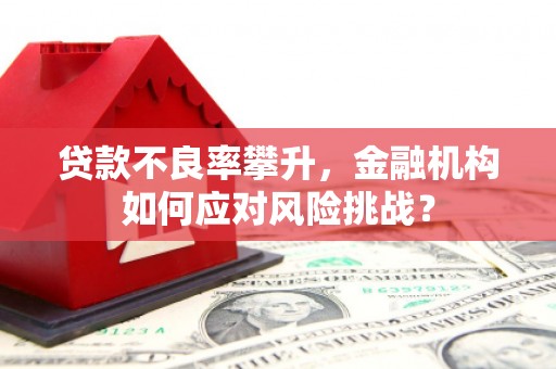 鸡东贷款不良率攀升，金融机构如何应对风险挑战？