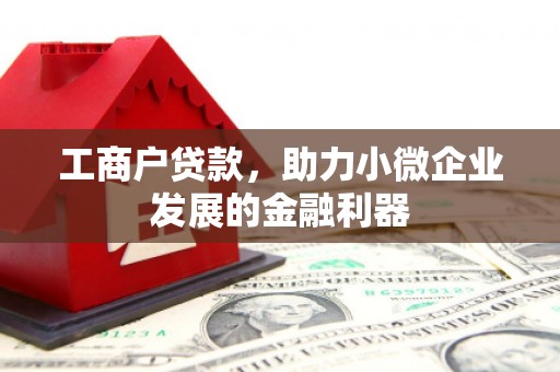 鸡东工商户贷款，助力小微企业发展的金融利器