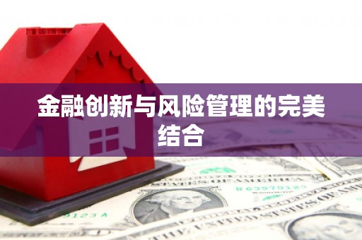 鸡东金融创新与风险管理的完美结合