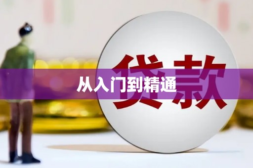 鸡东从入门到精通