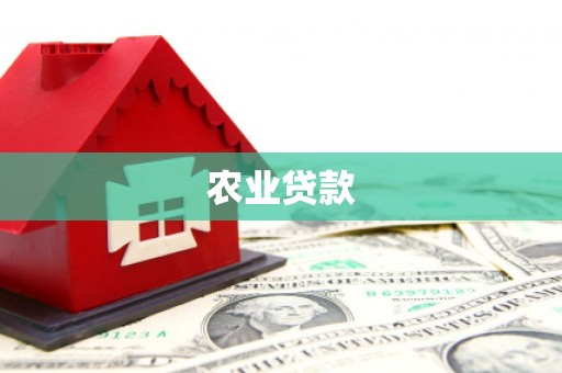 鸡东农业贷款