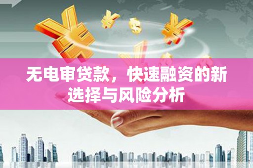 鸡东无电审贷款，快速融资的新选择与风险分析
