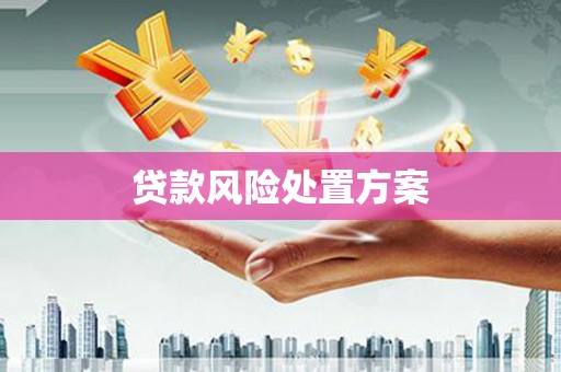 鸡东贷款风险处置方案